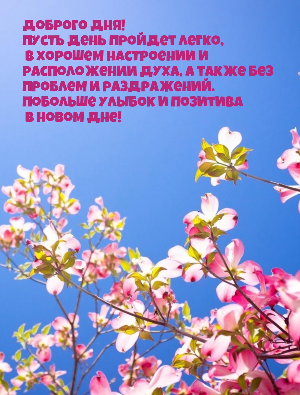 Доброго дня! Пусть день пройдет легко