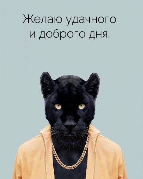 Желаю удачного и доброго дня.