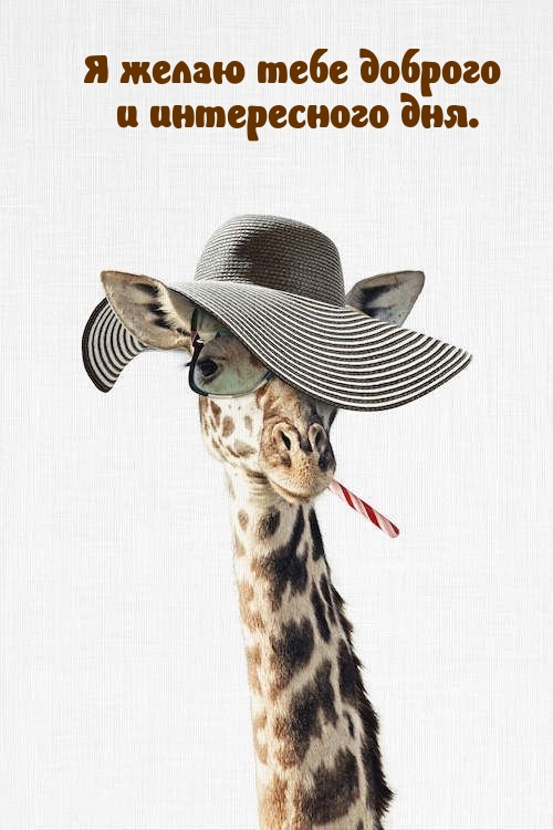 Я желаю тебе доброго и интересного дня. 