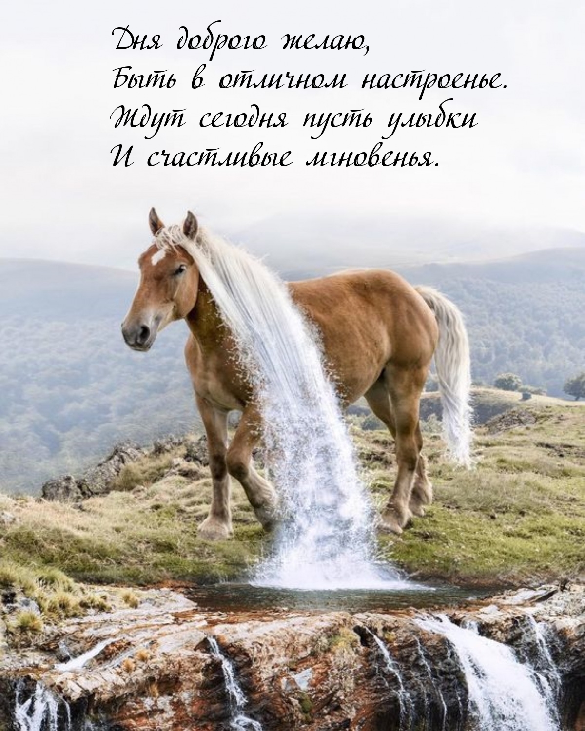 Дня доброго желаю, быть в отличном настроенье.