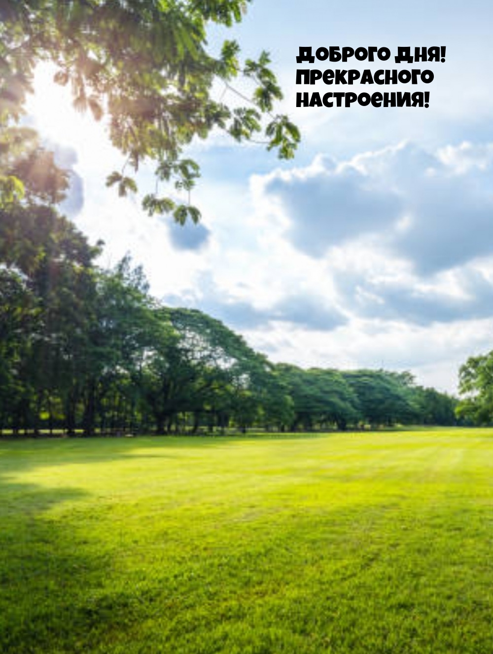 Доброго дня! Прекрасного настроения!