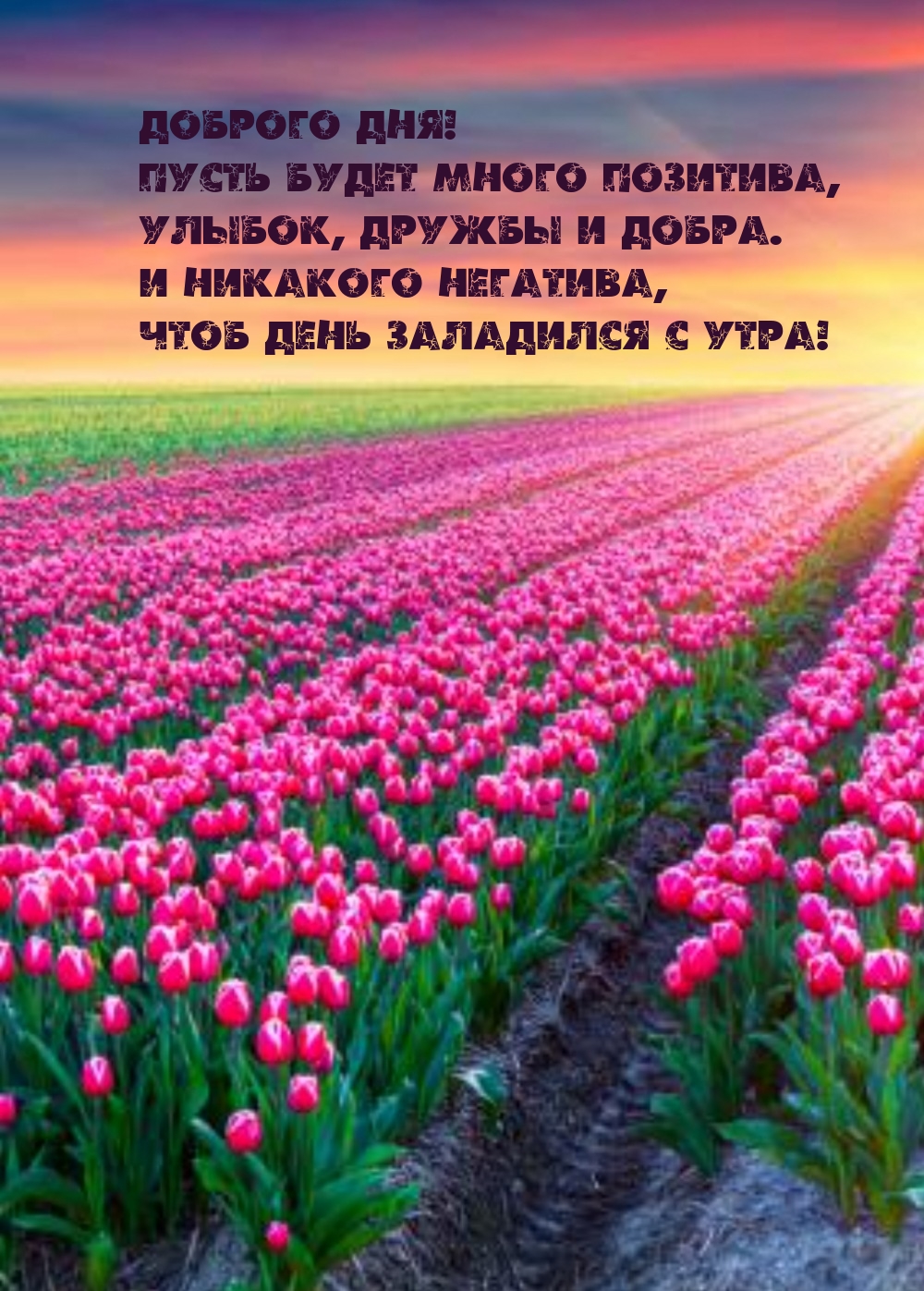 Доброго дня! Пусть будет много позитива