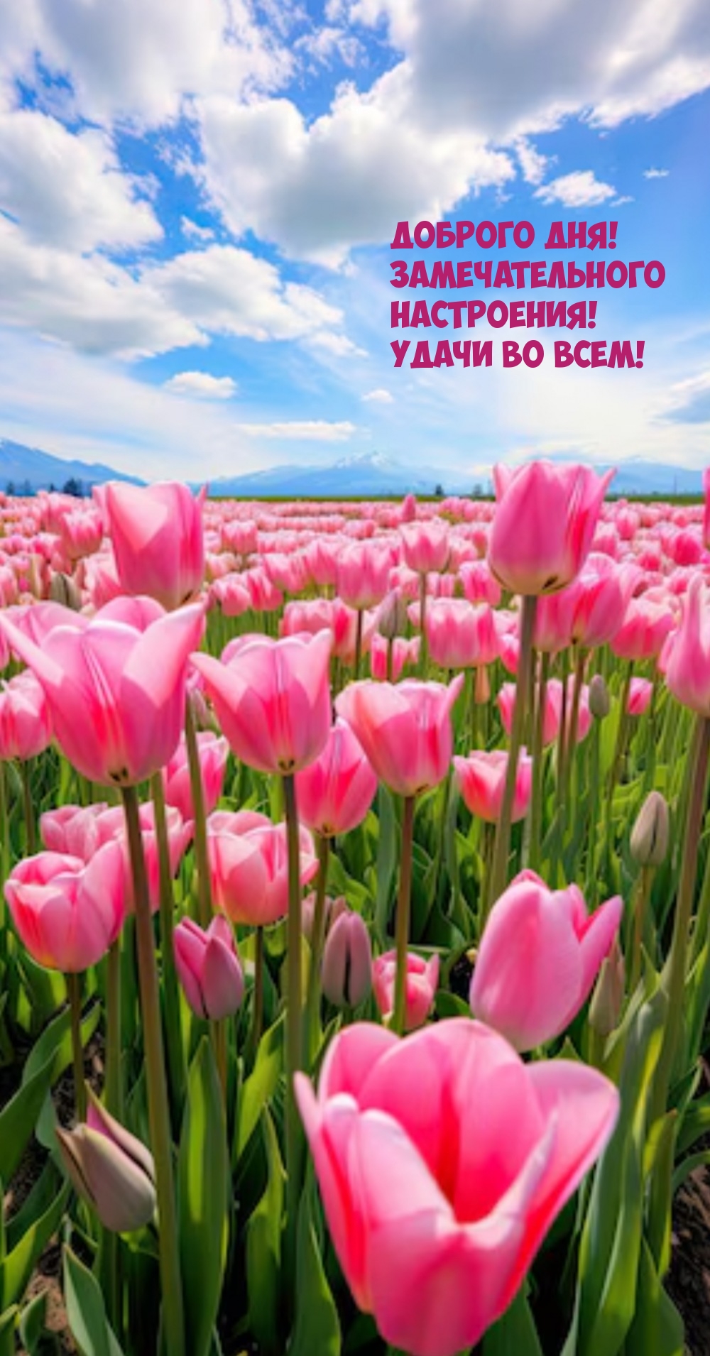 Доброго дня! Замечательного настроения! Удачи во всем!