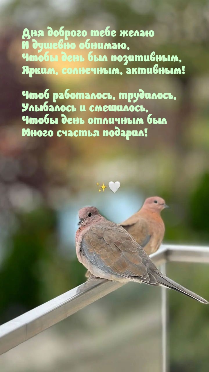 Дня доброго тебе желаю и душевно обнимаю