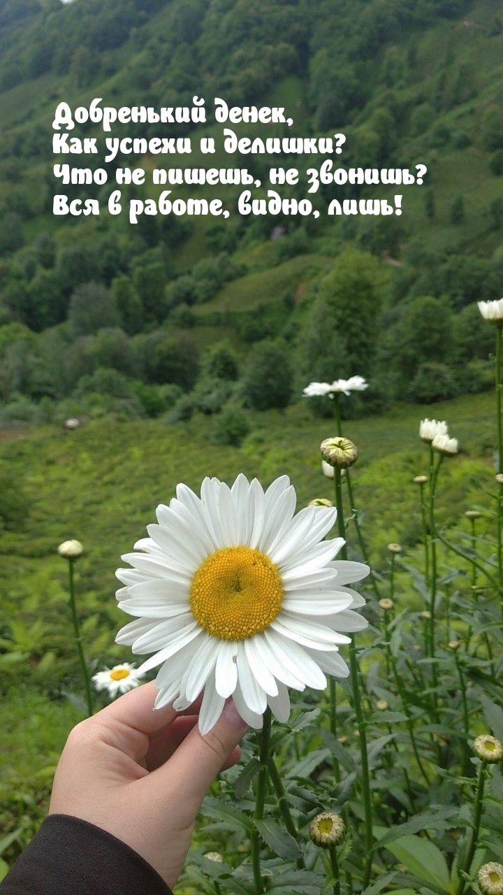 Добренький денек, как успехи и делишки? Что не пишешь, не звонишь?