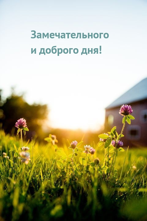 Замечательного и доброго дня!