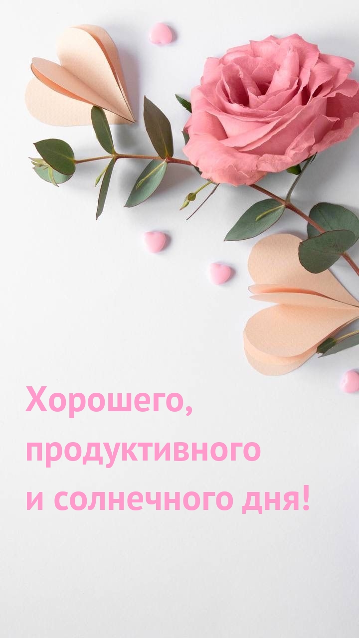 Хорошего, продуктивного и солнечного дня! 