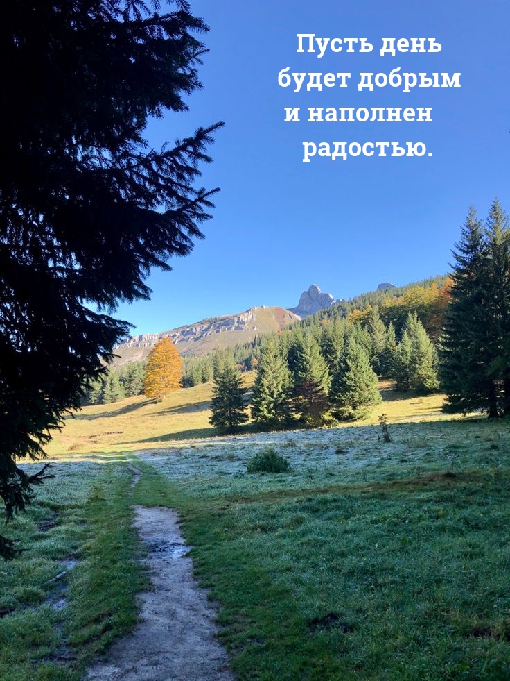 Пусть день будет добрым и наполнен радостью.