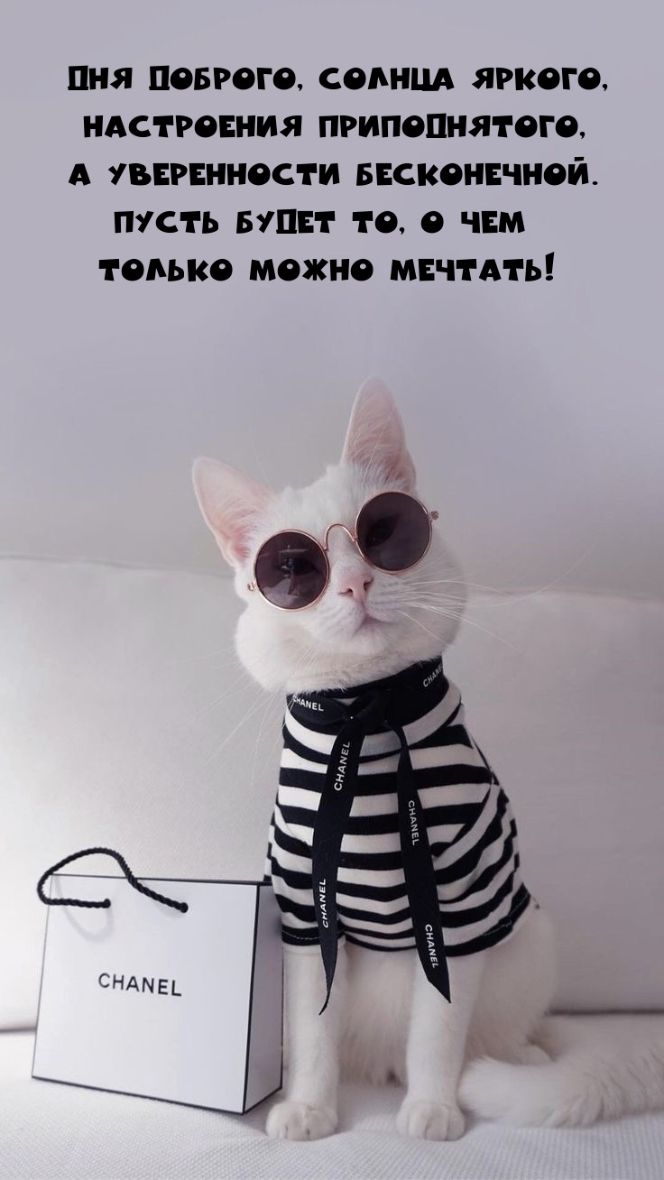 Дня доброго, солнца яркого, настроения приподнятого