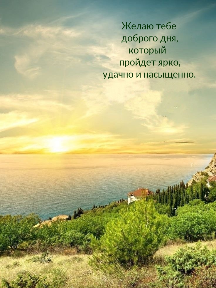 Желаю доброго дня, который пройдет ярко, удачно и насыщенно.