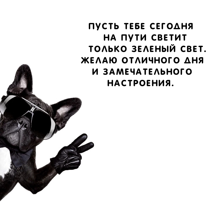 Желаю отличного дня и замечательного настроения.