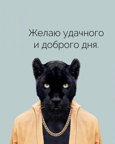 Желаю удачного и доброго дня.