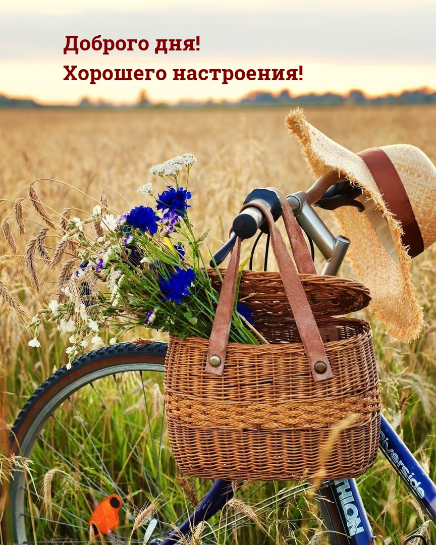 Доброго дня! Хорошего настроения!