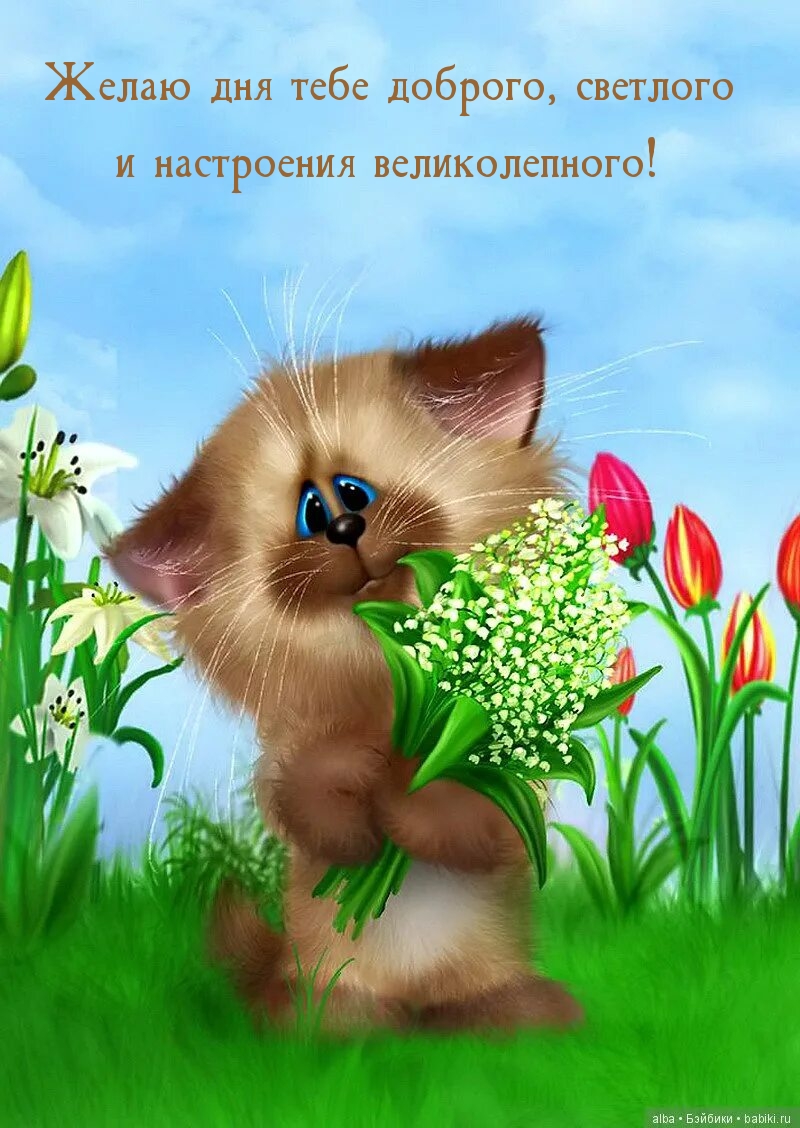 Желаю дня тебе доброго, светлого и настроения великолепного!