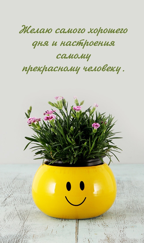 Желаю самого хорошего дня и настроения прекрасному человеку. 