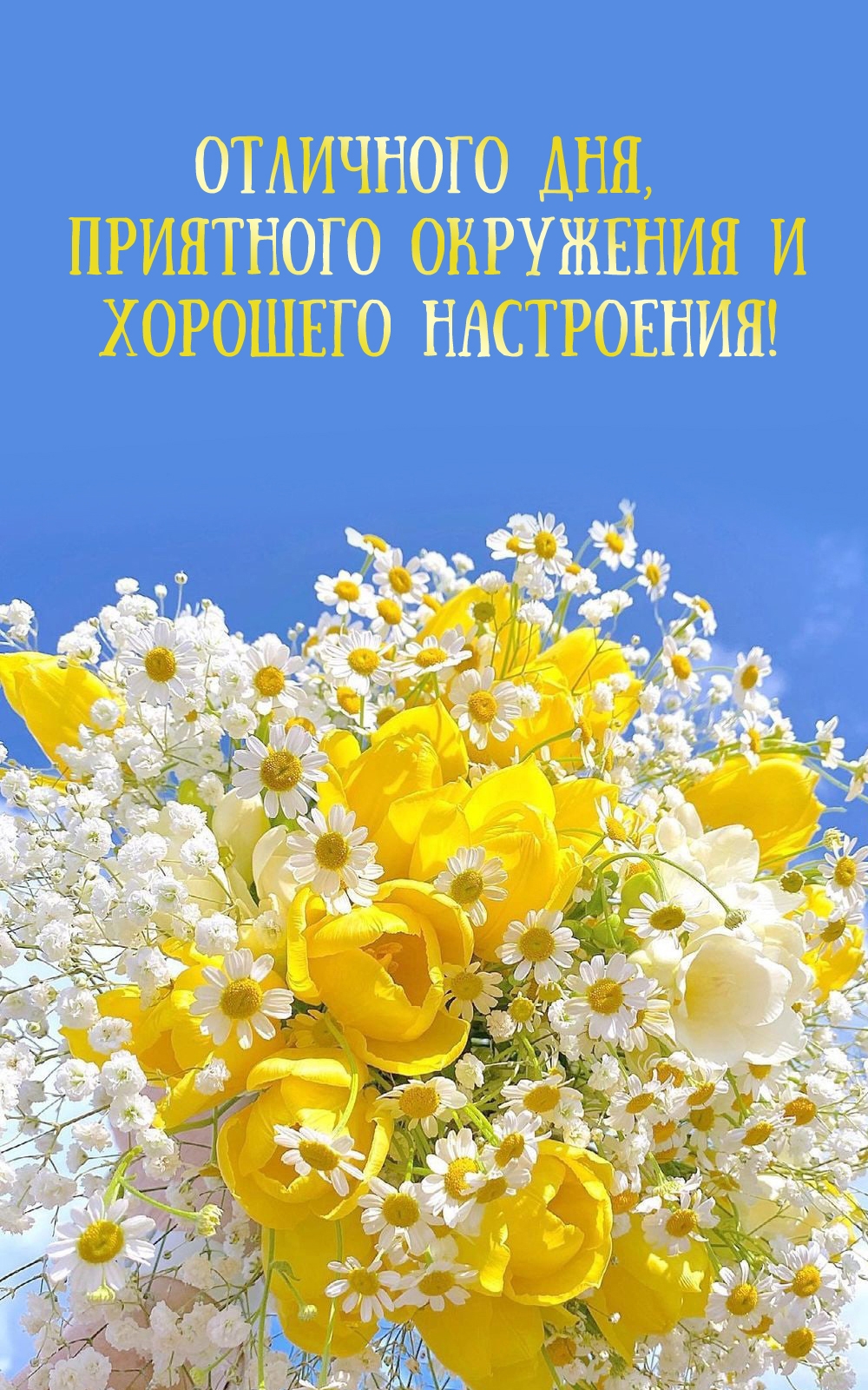 Отличного дня, приятного окружения и хорошего настроения!