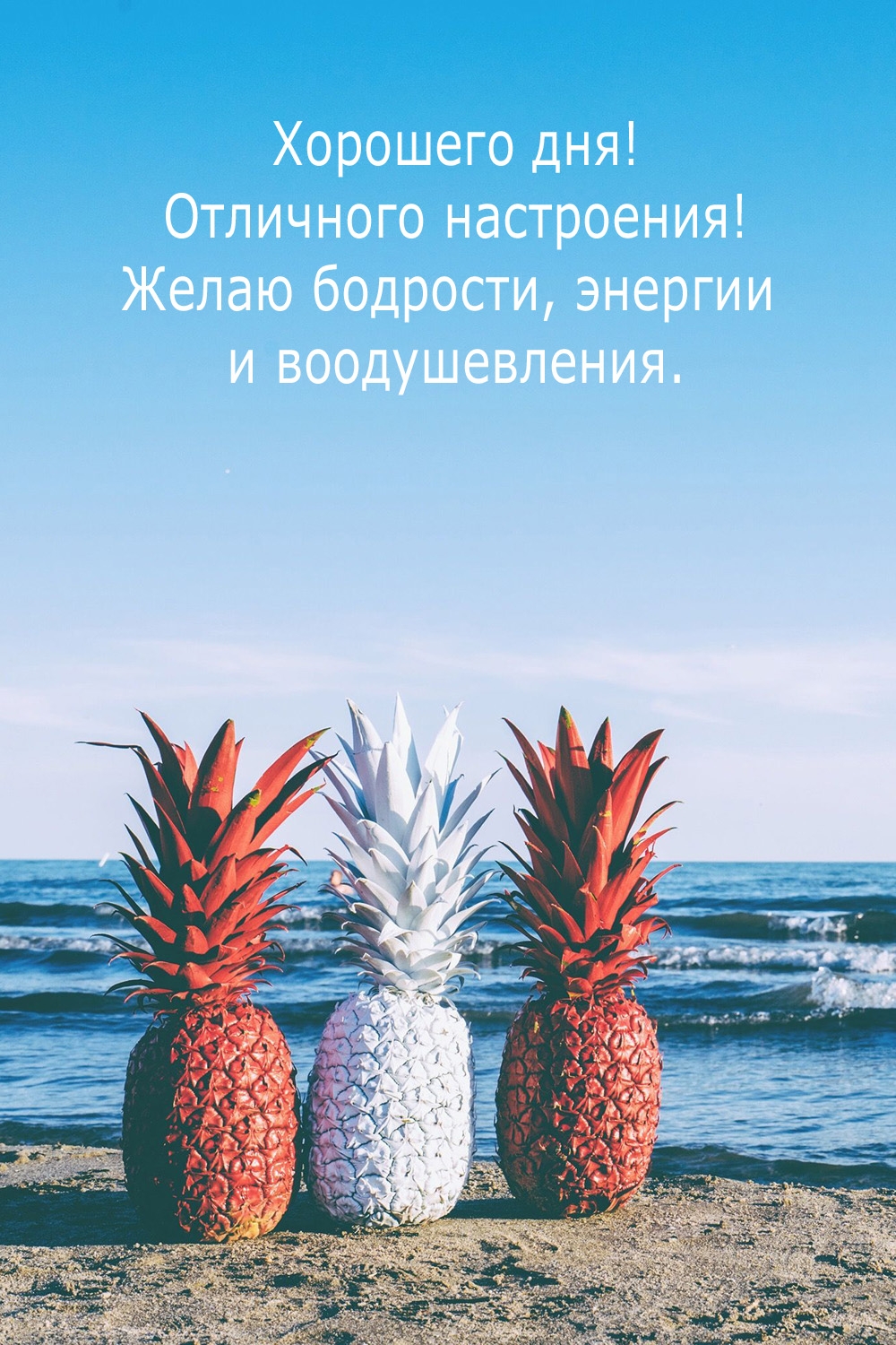 Хорошего дня! Отличного настроения! Желаю бодрости