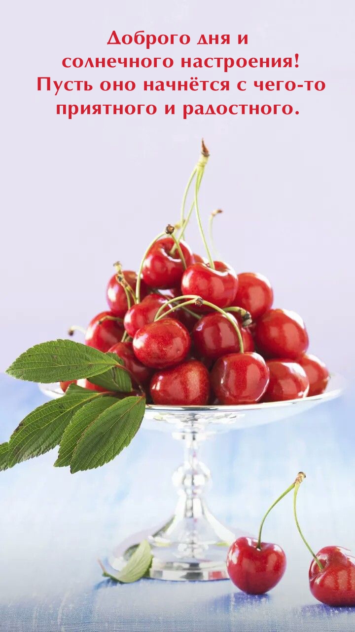 Доброго дня и солнечного настроения!