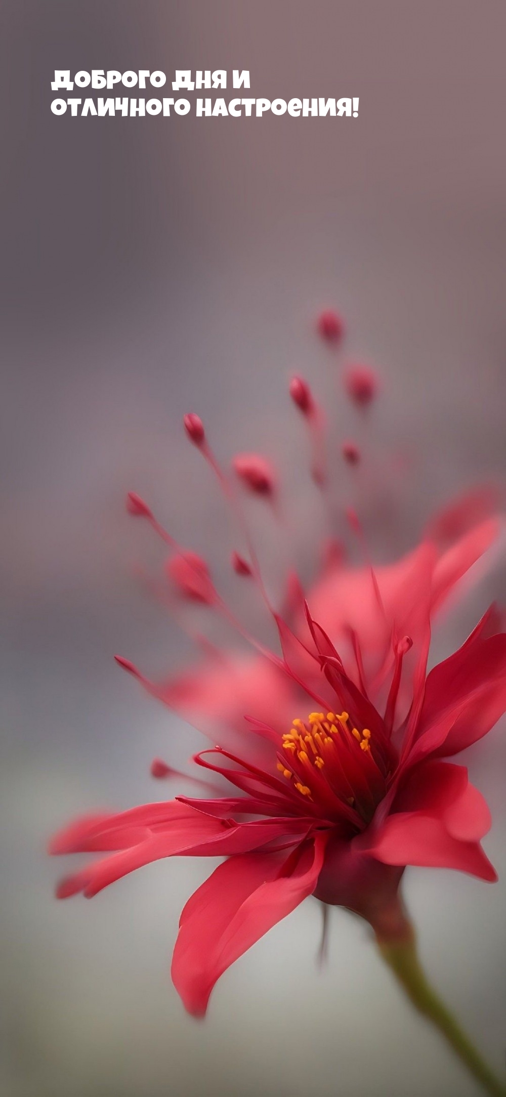 Доброго дня и отличного настроения!