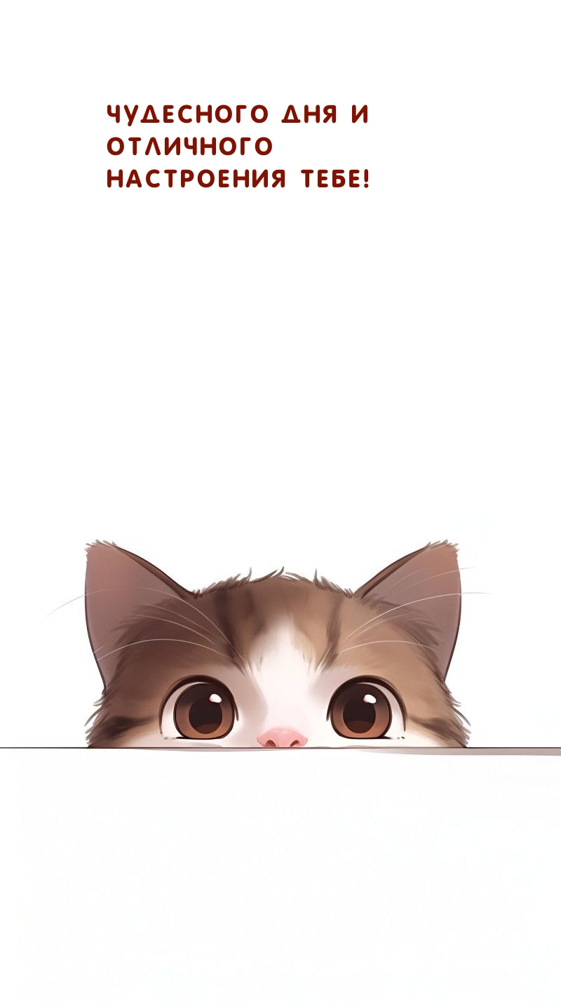 Чудесного дня и отличного настроения тебе!
