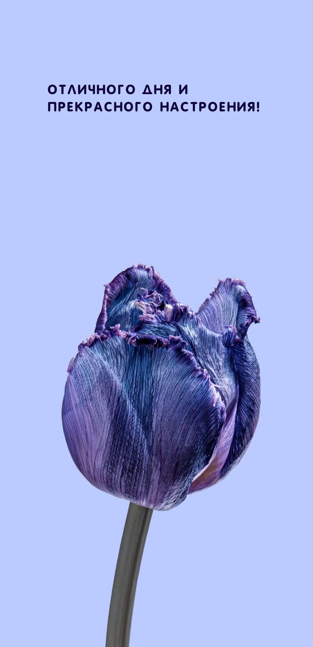 Отличного дня и прекрасного настроения!