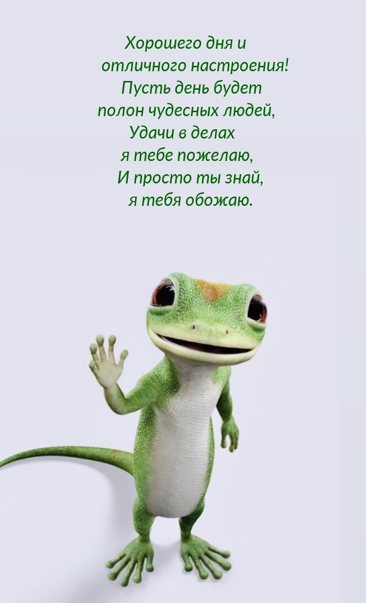 Хорошего дня и отличного настроения!