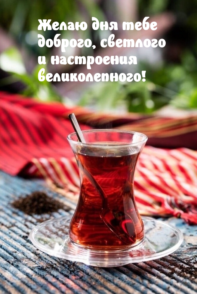 Желаю дня тебе доброго, светлого и настроения великолепного!
