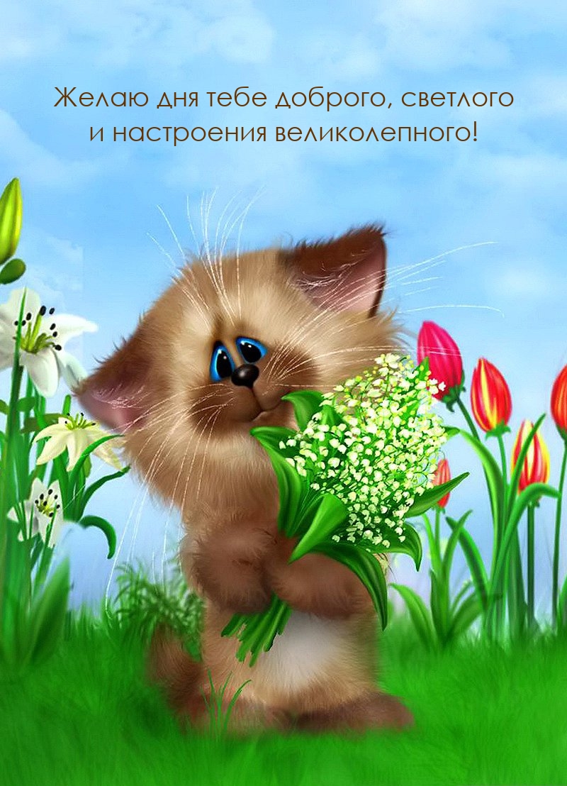 Желаю дня тебе доброго, светлого и настроения великолепного!