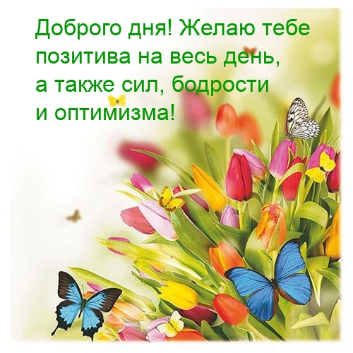 Доброго дня! Желаю позитива на весь день, а также сил, бодрости