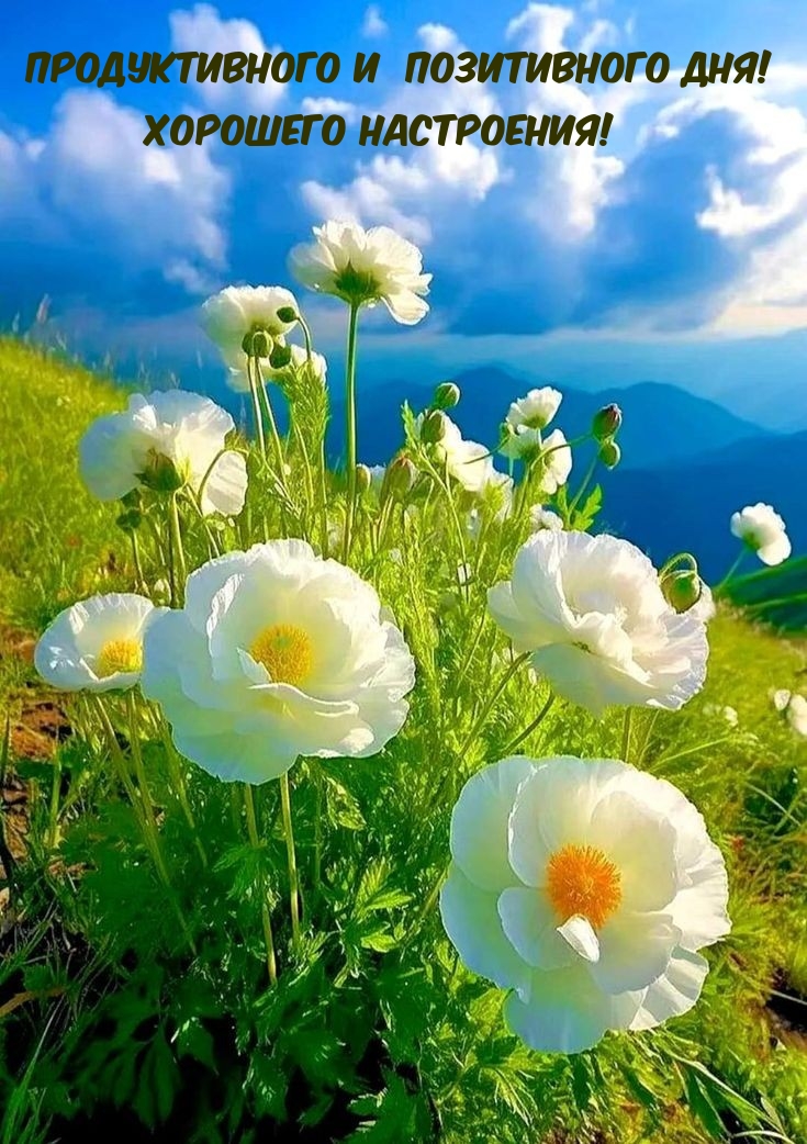 Продуктивного и позитивного дня! Хорошего настроения!