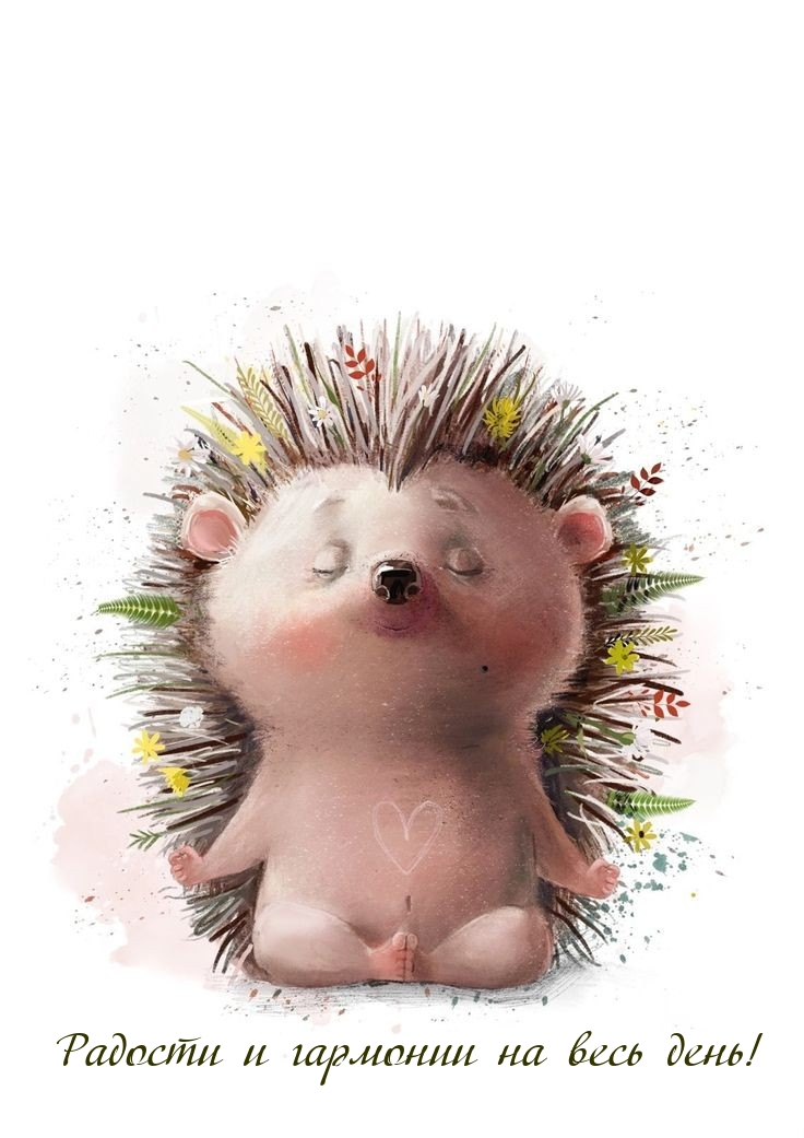 Радости и гармонии на весь день!