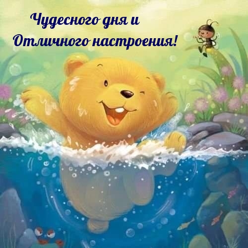 Чудесного дня и отличного настроения!