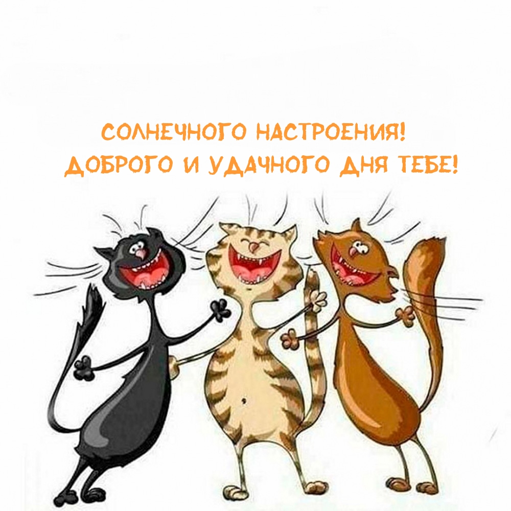 Солнечного настроения! Доброго и удачного дня тебе!
