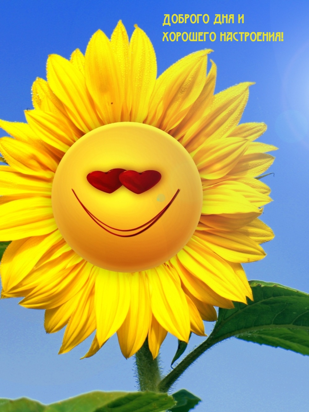 Доброго дня и хорошего настроения!