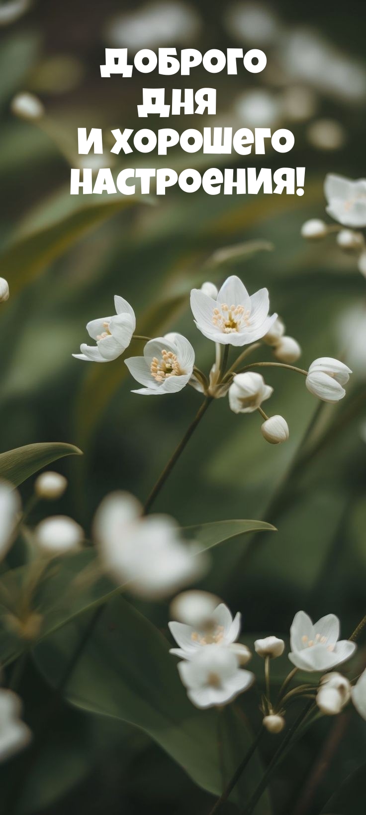 Доброго дня и хорошего настроения!