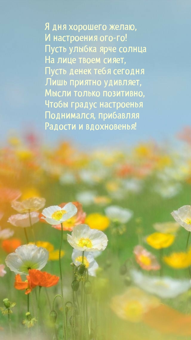 Я дня хорошего желаю, и настроения ого-го!
