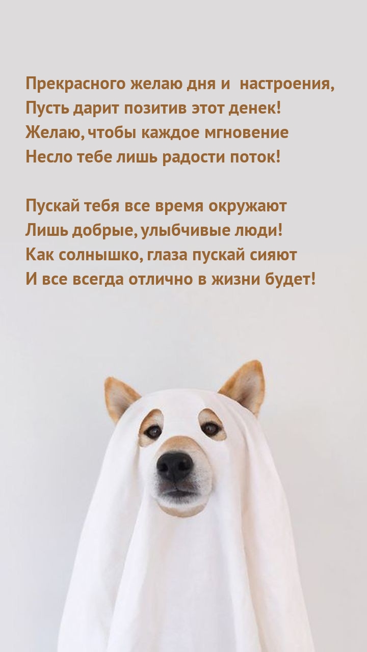 Прекрасного дня и настроения, пусть дарит позитив этот денек!