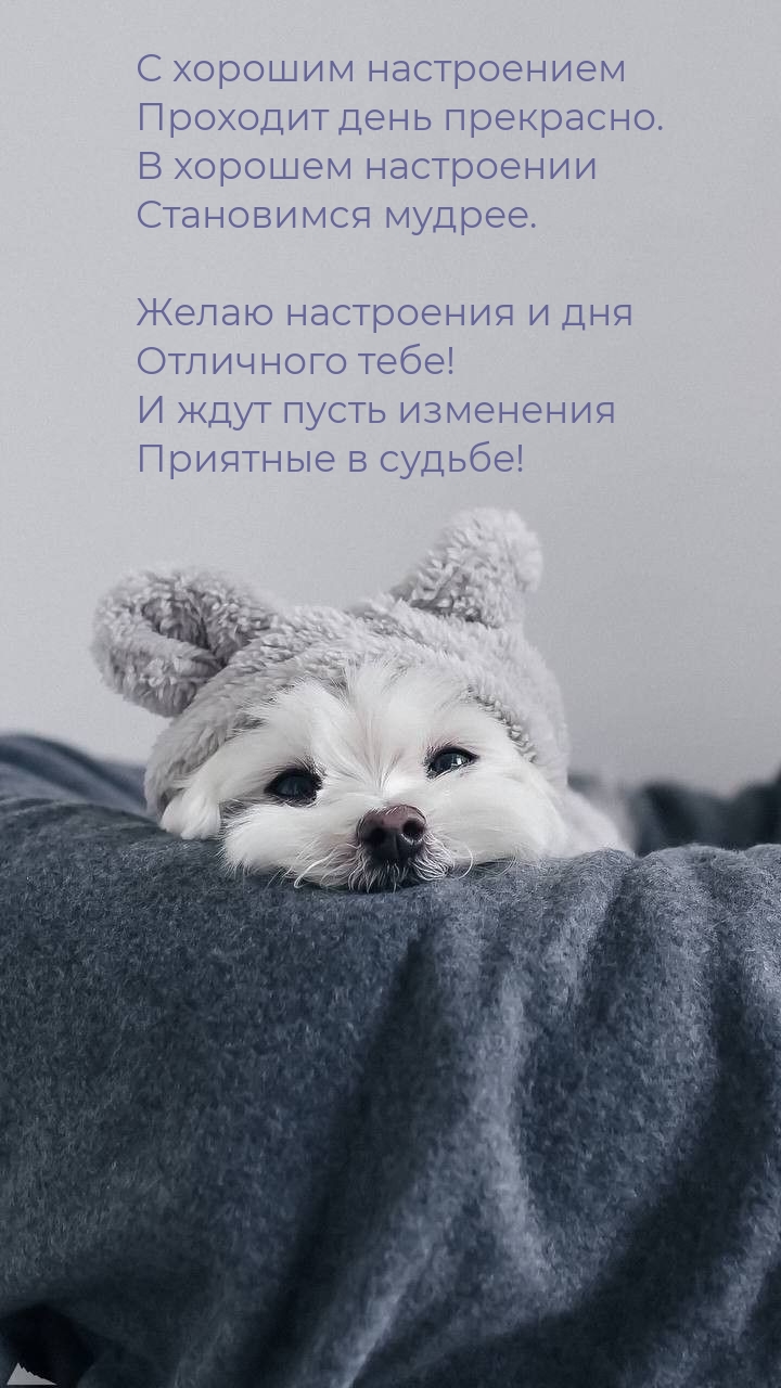 С хорошим настроением проходит день прекрасно.