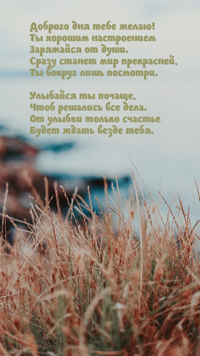 Доброго дня желаю! Ты хорошим настроением заряжайся от души.