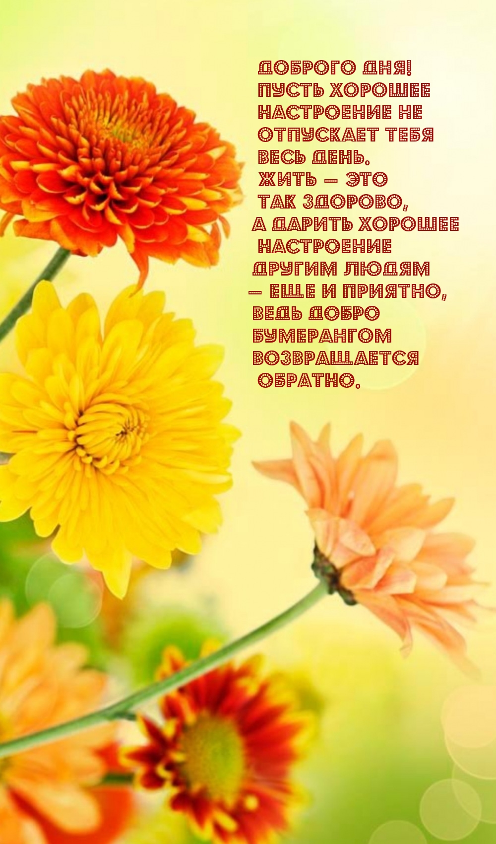 Доброго дня! Пусть хорошее настроение не отпускает весь день.