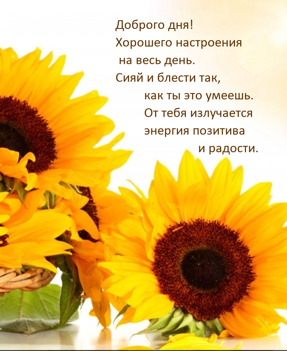 Доброго дня! Хорошего настроения на весь день. 
