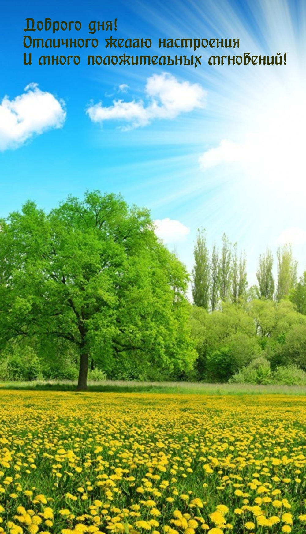 Доброго дня! Отличного желаю настроения