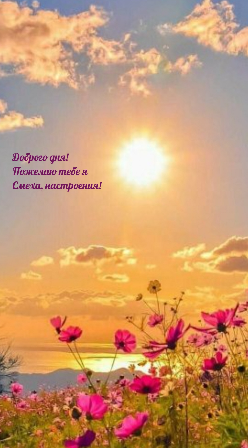 Доброго дня! Пожелаю тебе я смеха, настроения!