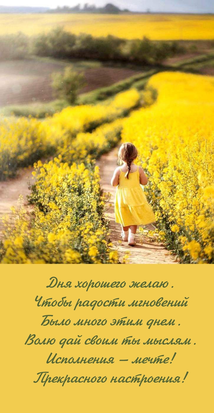 Дня хорошего. Чтобы радости мгновений было много этим днем.