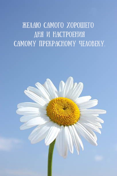 Желаю хорошего дня и настроения самому прекрасному человеку. 
