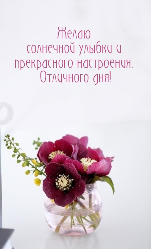 Желаю солнечной улыбки и прекрасного настроения. 