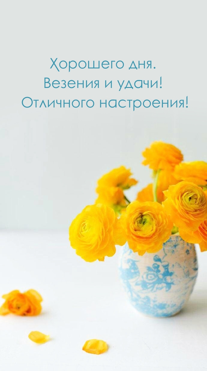 Хорошего дня. Везения и удачи! Отличного настроения!
