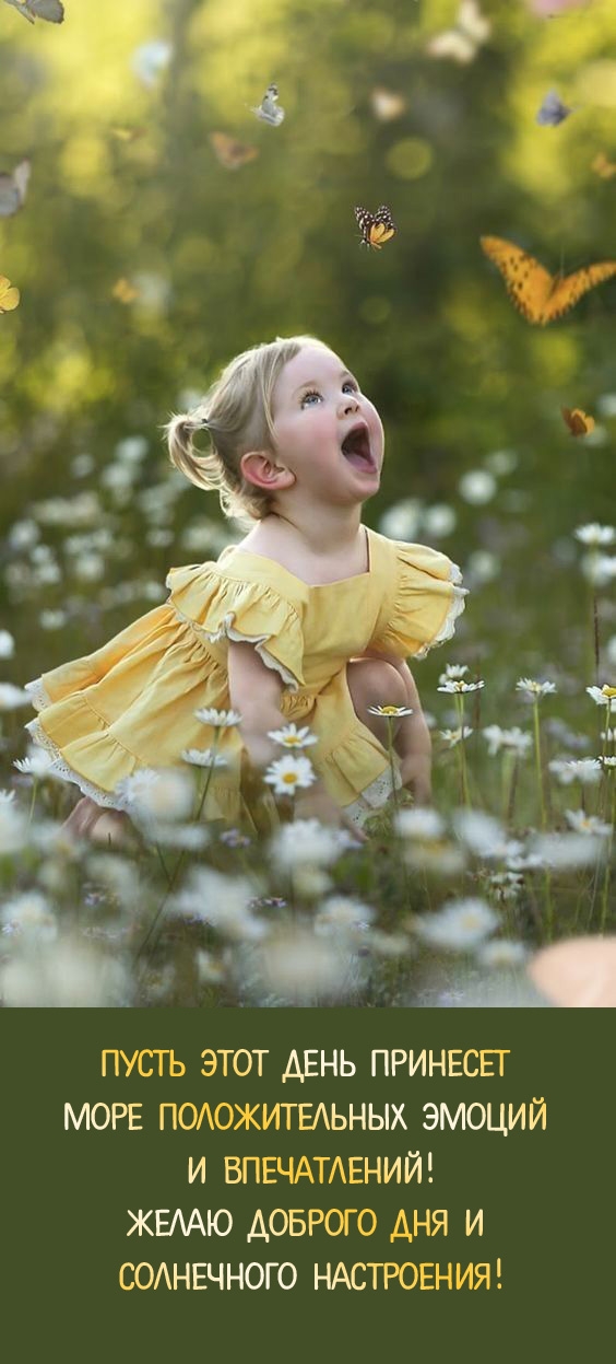 Пусть день принесет море положительных эмоций и впечатлений!