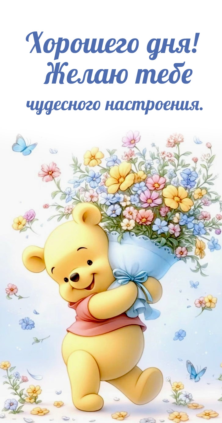 Хорошего дня! Желаю тебе чудесного настроения.
