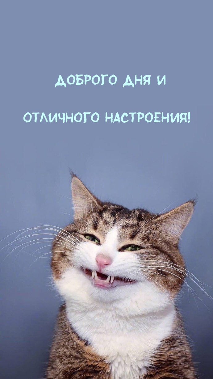 Доброго дня и отличного настроения!
